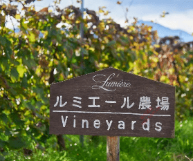 日本葡萄酒产区介绍